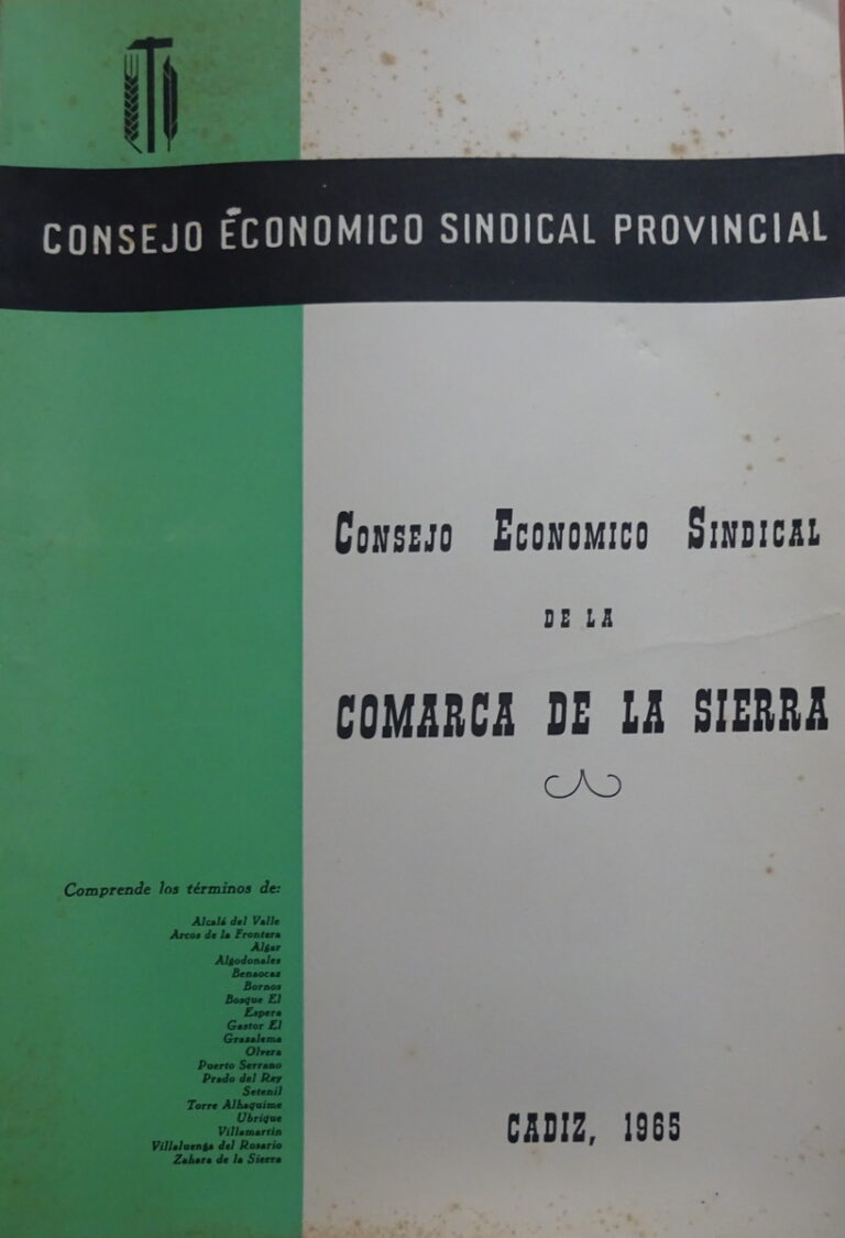 Portada del informe del Consejo Económico Sindical de la Comarca de la Sierra.